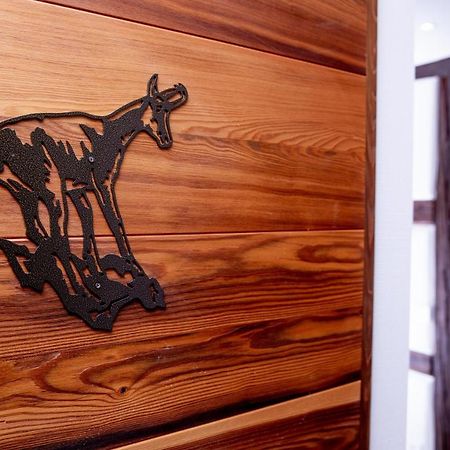 Appartement Le Chamois Kaysersberg-Vignoble Εξωτερικό φωτογραφία