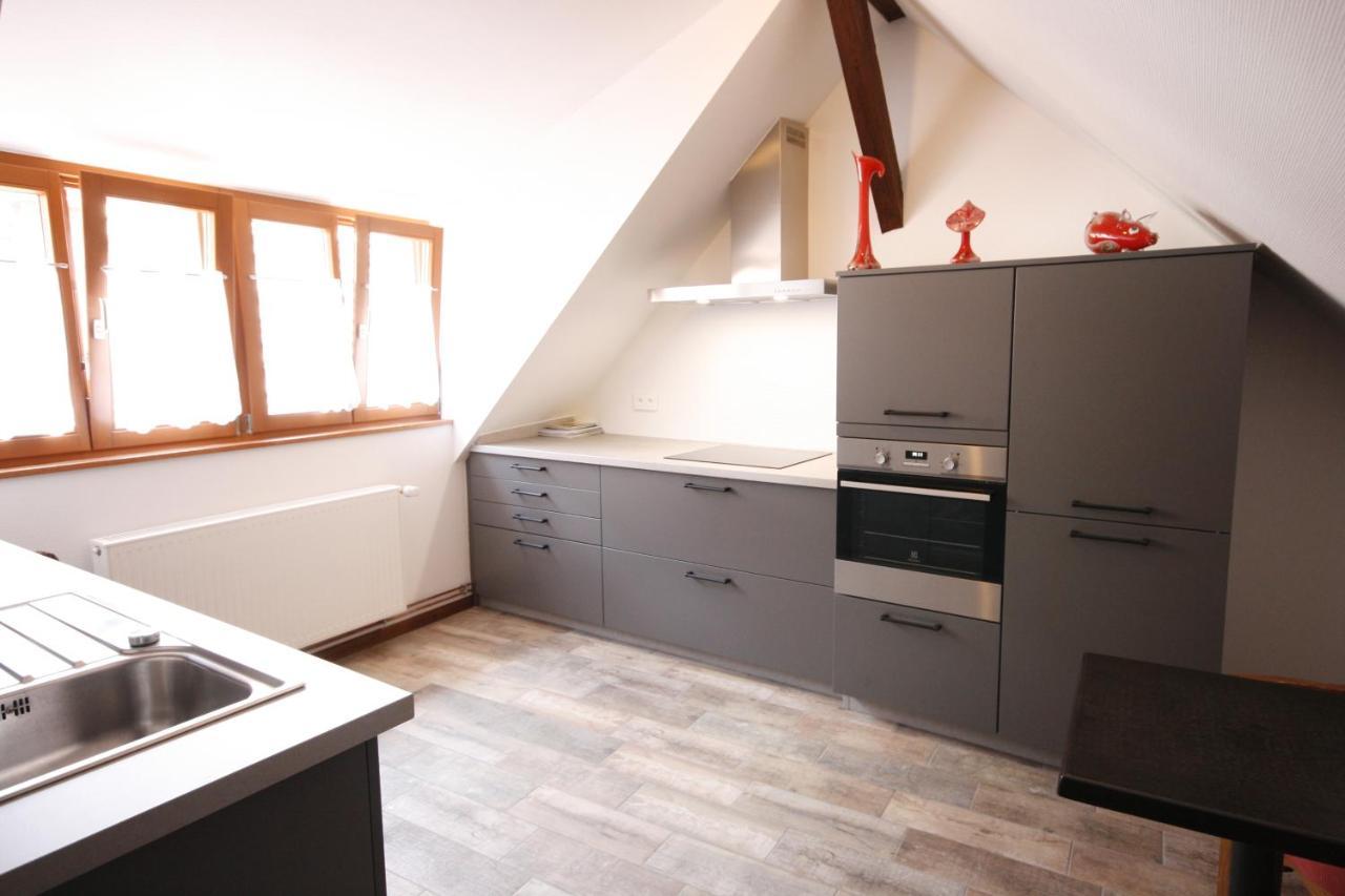 Appartement Le Chamois Kaysersberg-Vignoble Εξωτερικό φωτογραφία